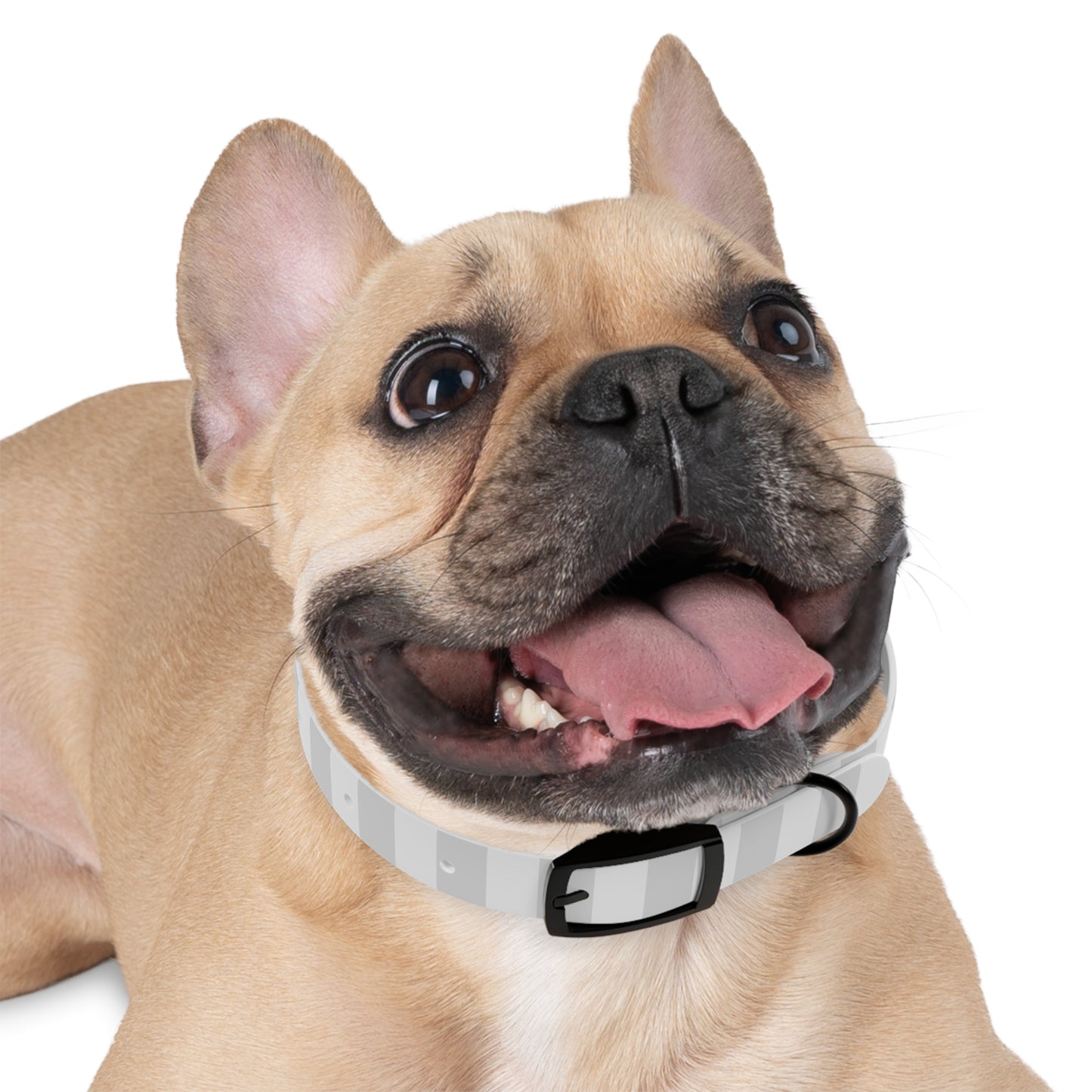 Stylish Dog Collar "Golden Retriever" Design | Trendy Dog Accessory for Fashion-Forward Dogs, Waterproof and easy to clean, Adjustable, Durable, Striped Design Golden Retriever