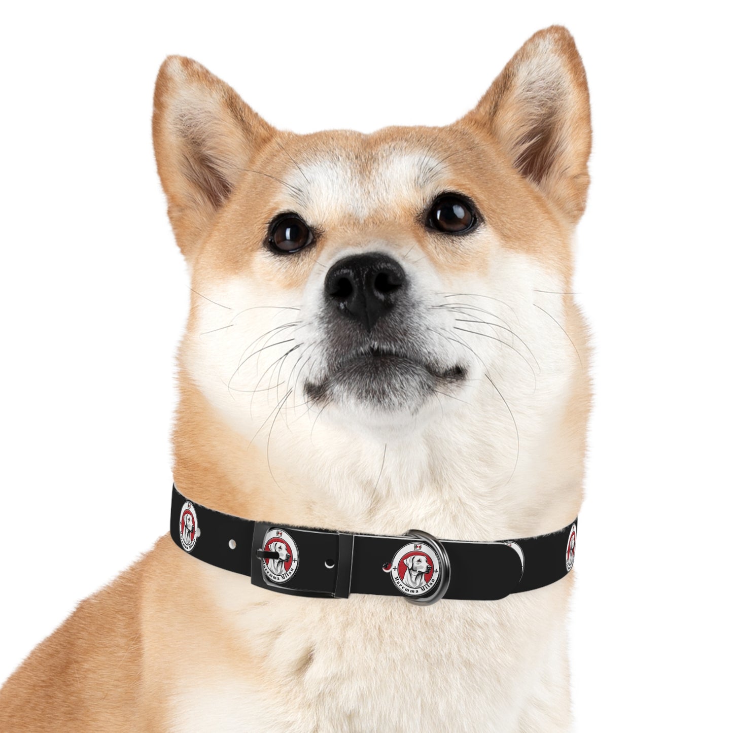 Dog Collar, Adjustable, Waterproff, Durable, Hypoallergenic Black Dog Collar with Maremma Logo,
