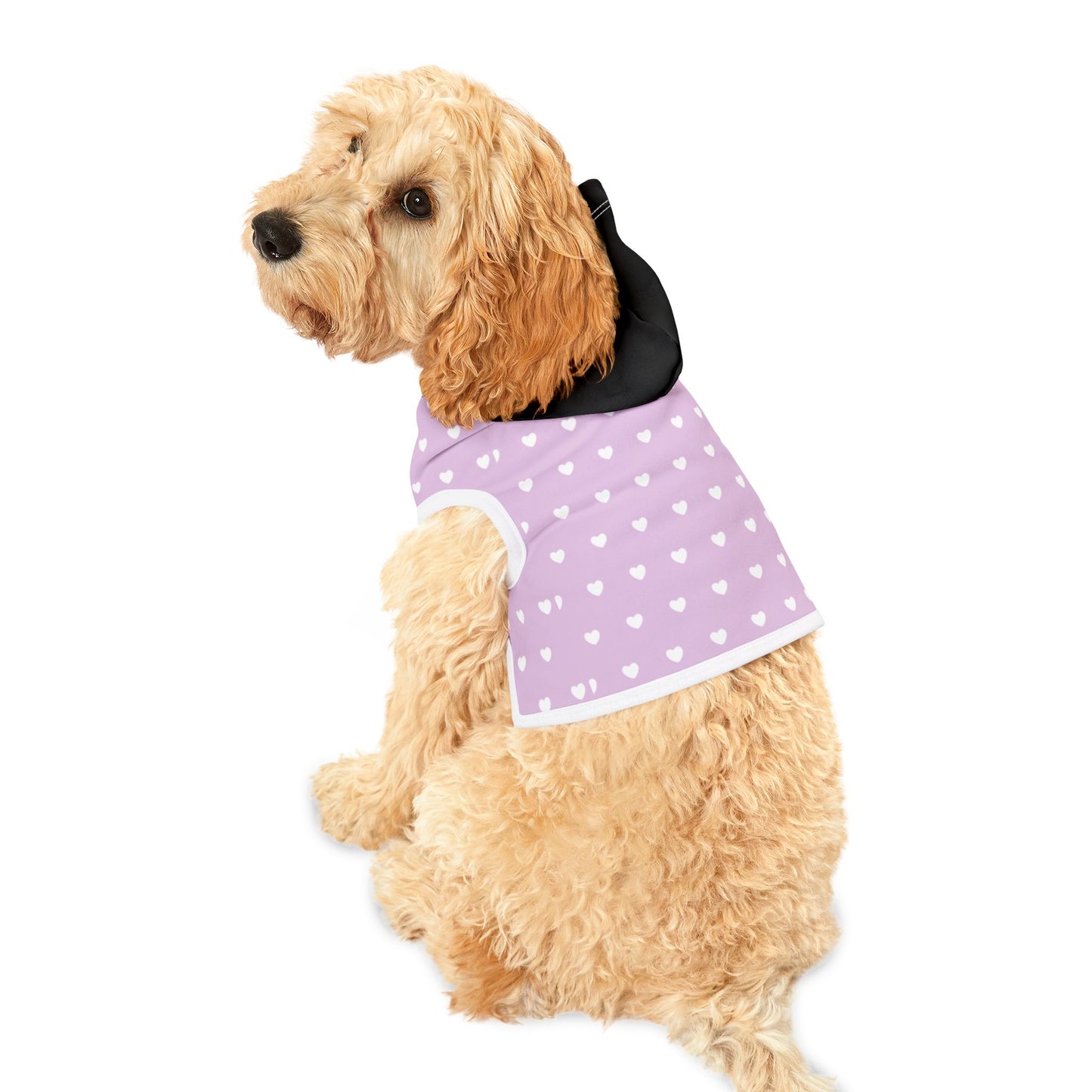 Dog Hoodie