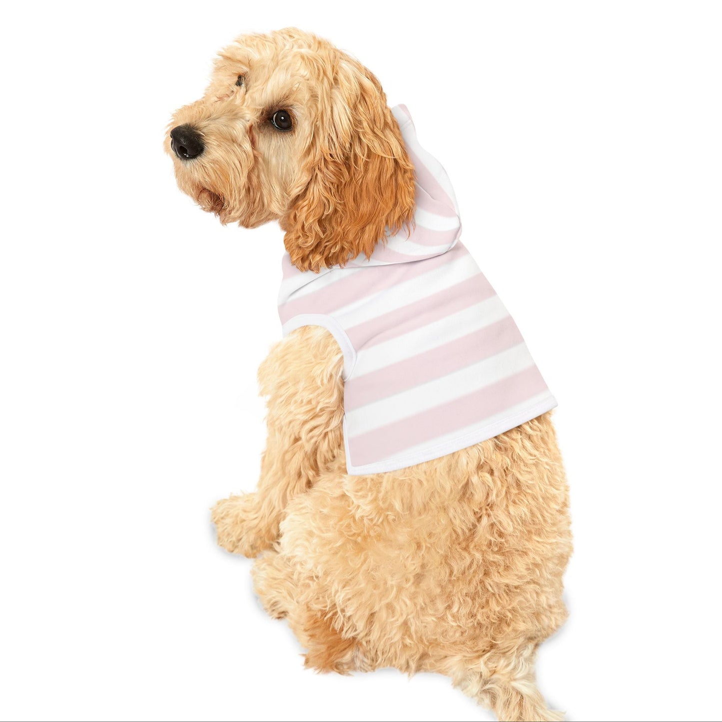 Dog Hoodie