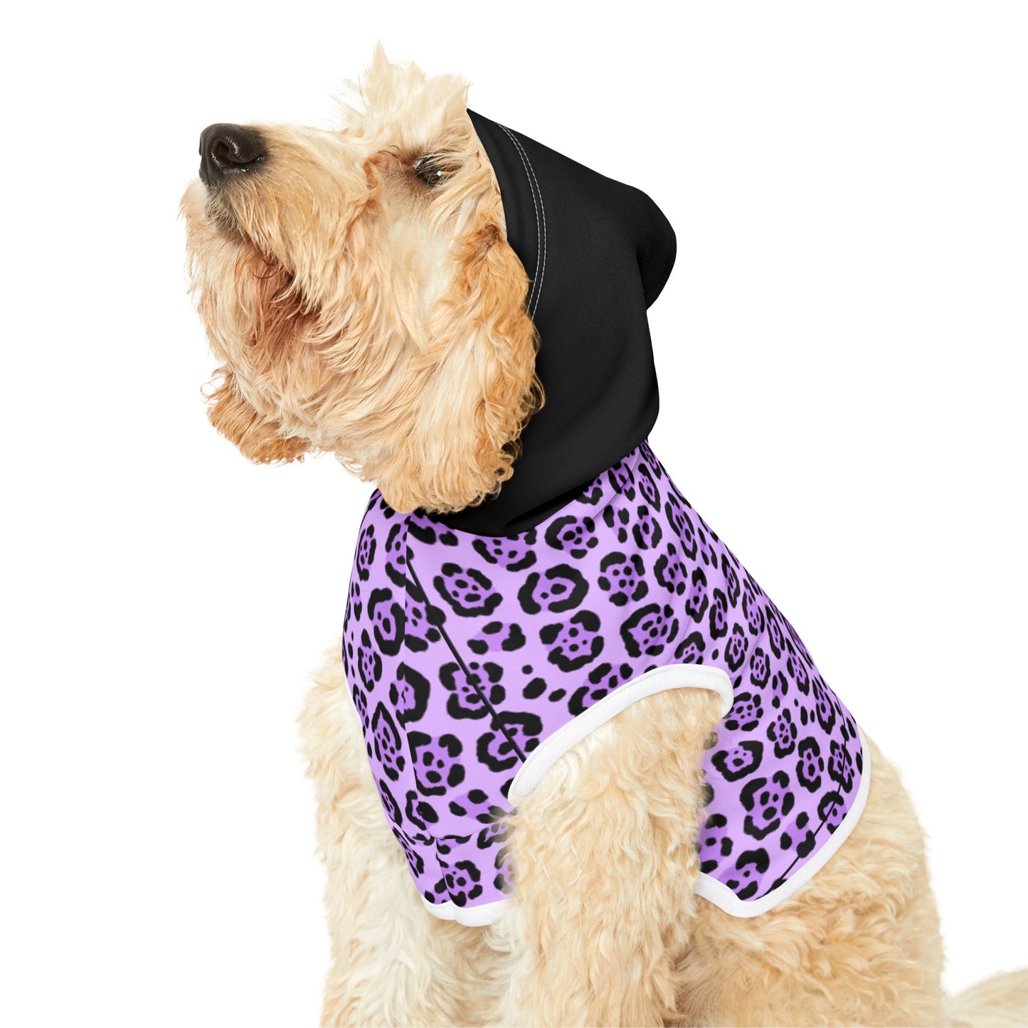Pet Hoodie