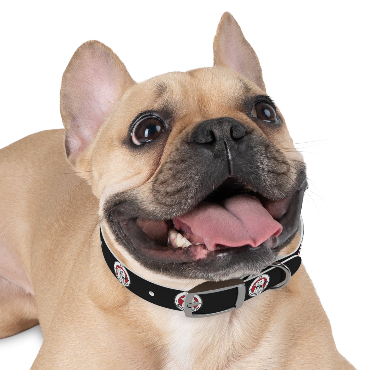 Dog Collar, Adjustable, Waterproff, Durable, Hypoallergenic Black Dog Collar with Maremma Logo,