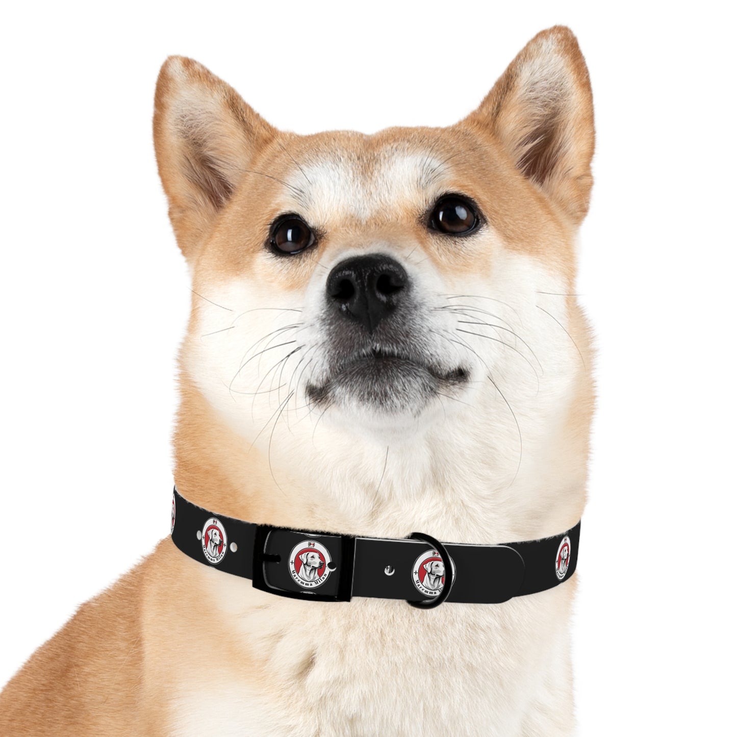 Dog Collar, Adjustable, Waterproff, Durable, Hypoallergenic Black Dog Collar with Maremma Logo,