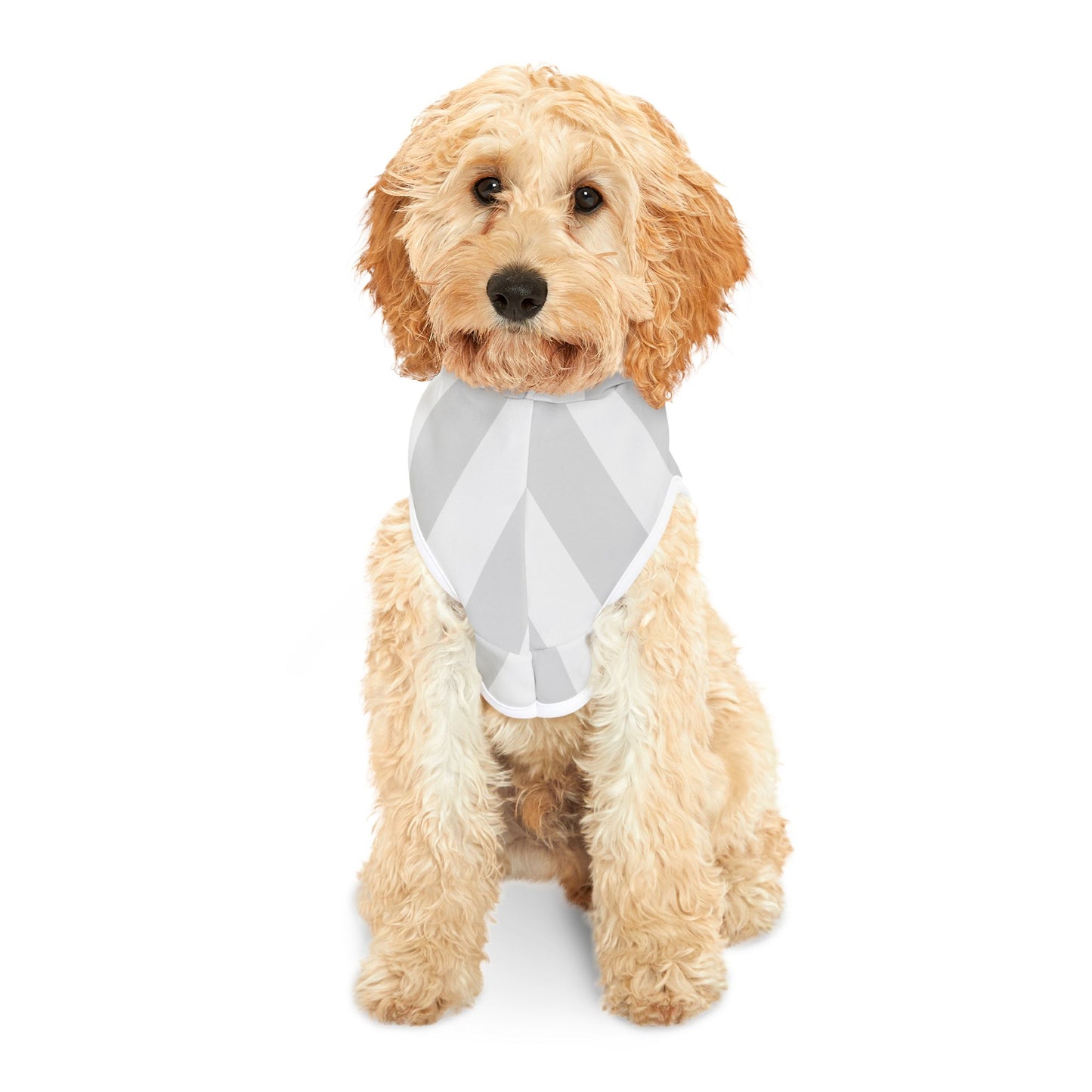 Dog Hoodie Stylish Striped, Dog Apparel, Dog Sweater, Dog Fashion