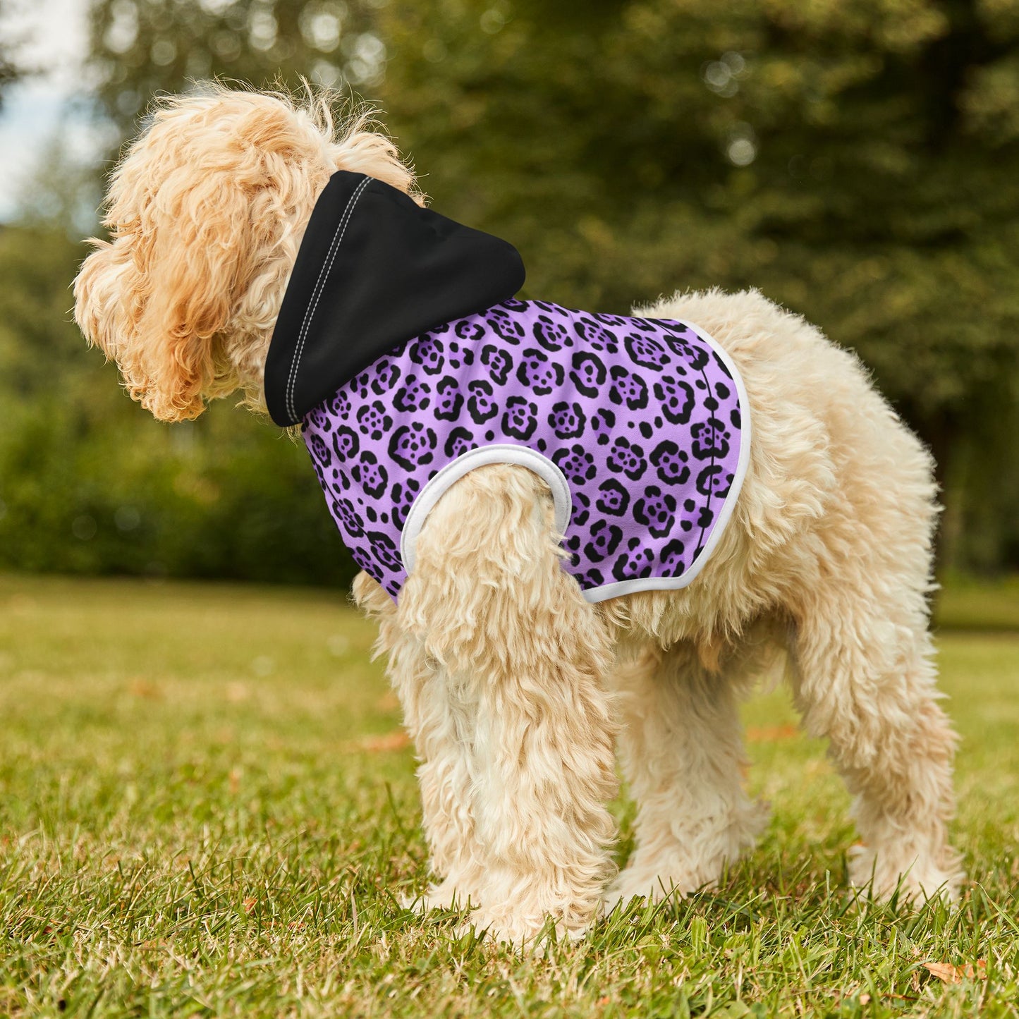 Pet Hoodie