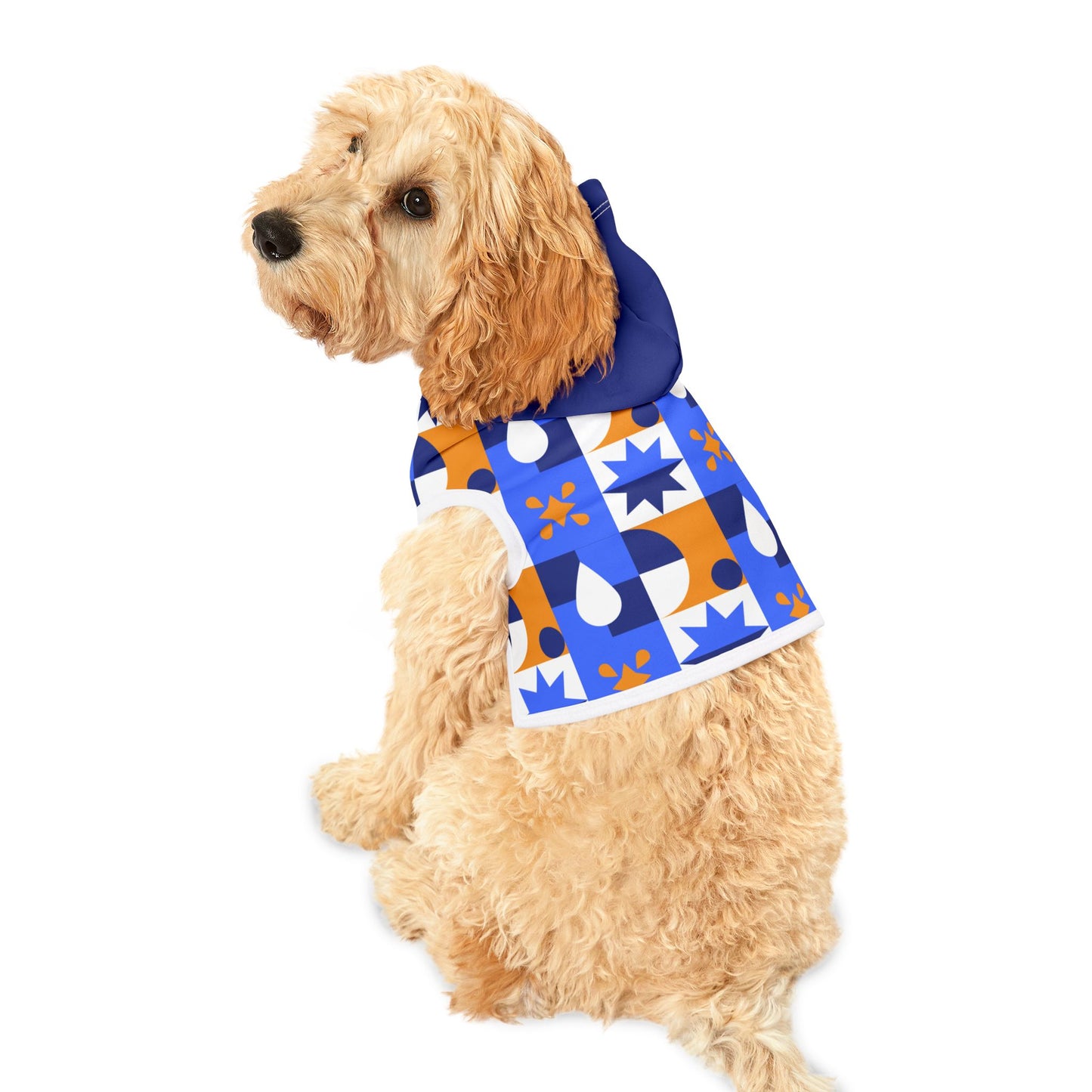 Dog Hoodie