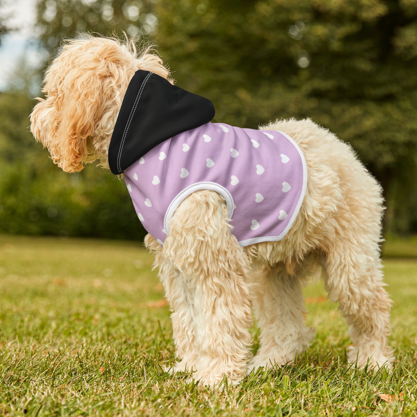 Pet Hoodie
