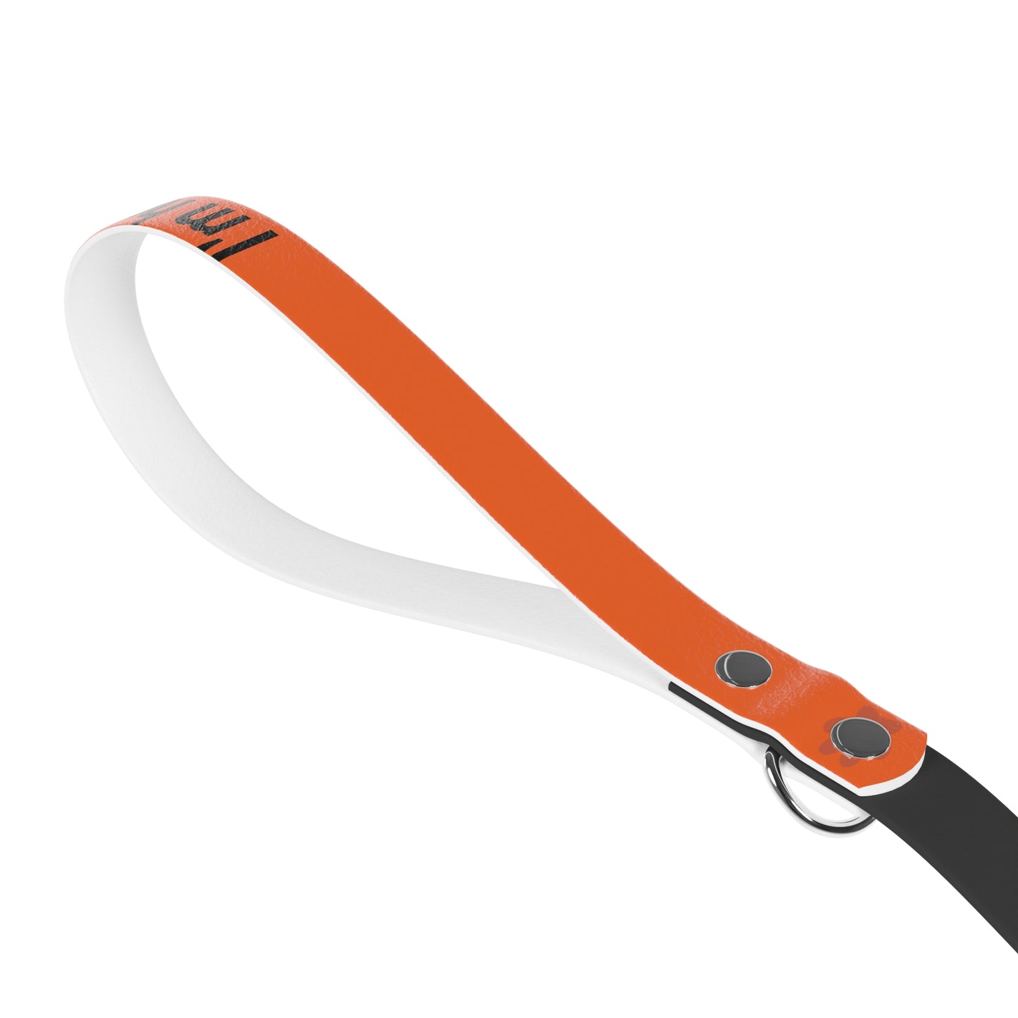 Dog Leash