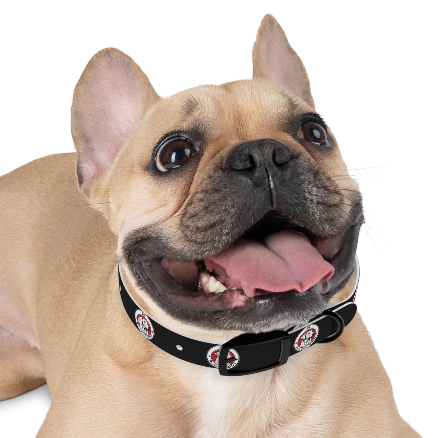 Dog Collar, Adjustable, Waterproff, Durable, Hypoallergenic Black Dog Collar with Maremma Logo,