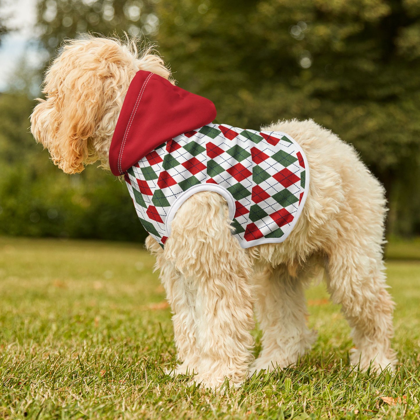 Pet Hoodie