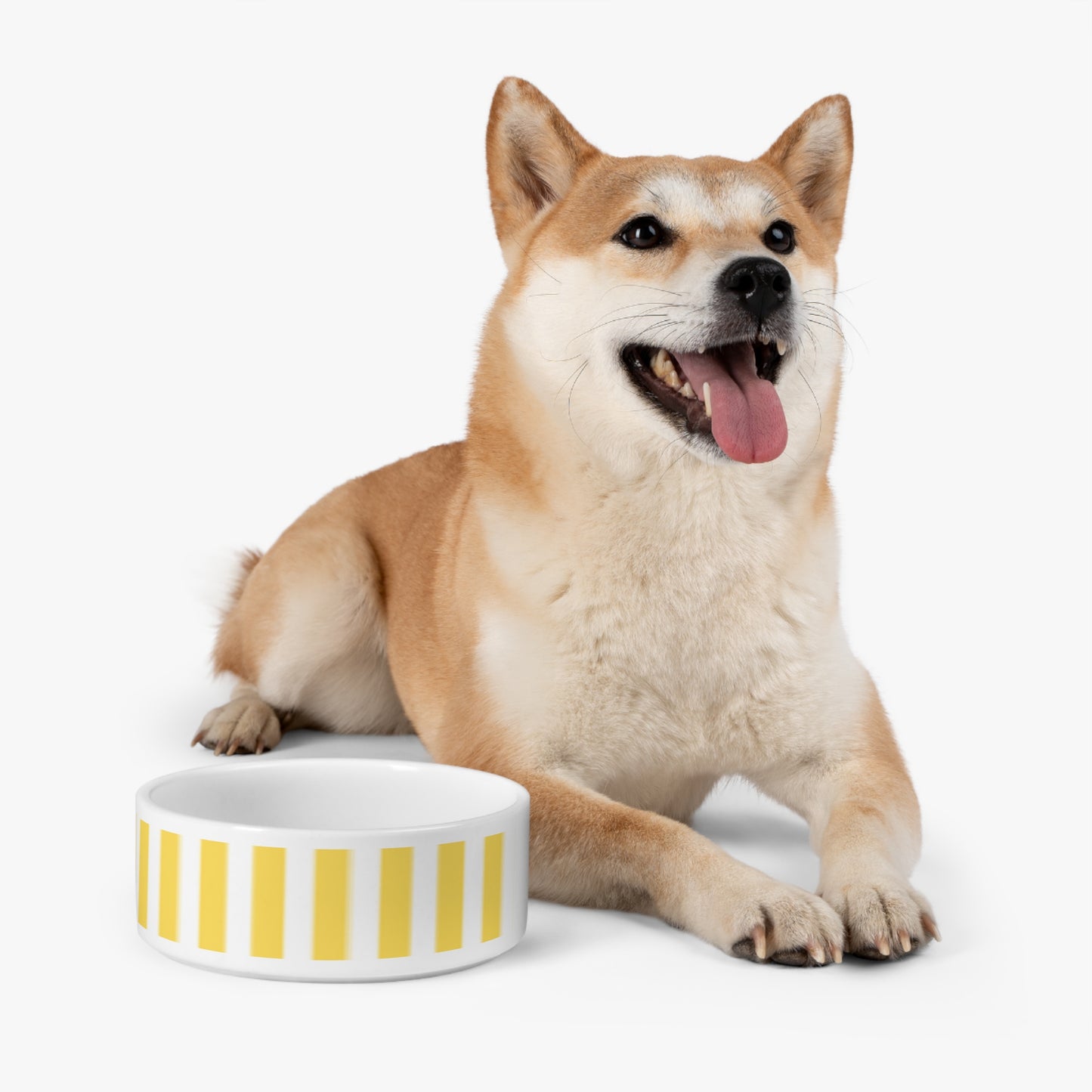 Copy of Modern Yellow Striped Pet Bowl - Stylish Pet Dish for Dogs and Cats