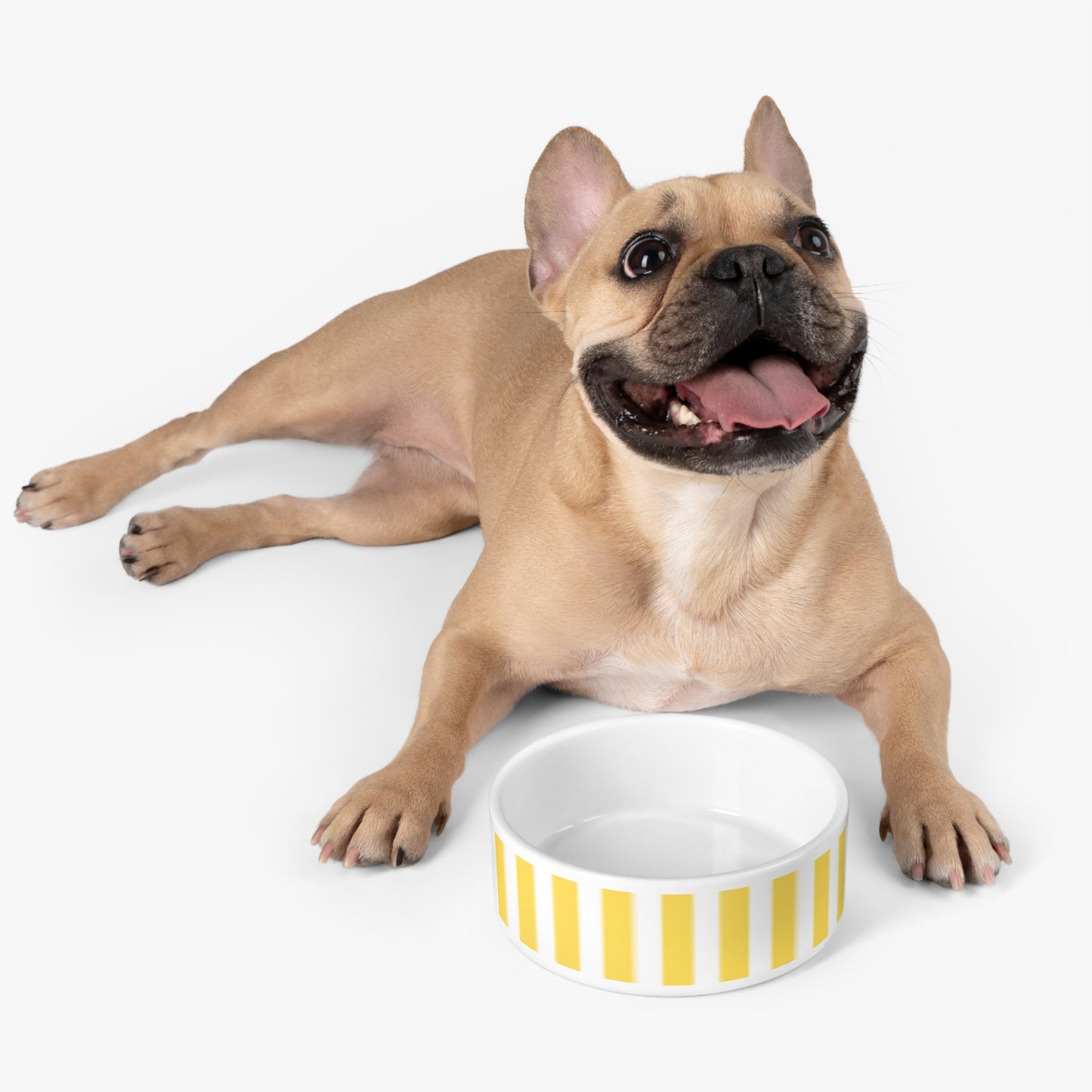 Dog Bowl Modern Yellow Striped - "Portofino Dogs" Dishwasher-safe, Microwave-safe, Design Stylish Dish for Dogs