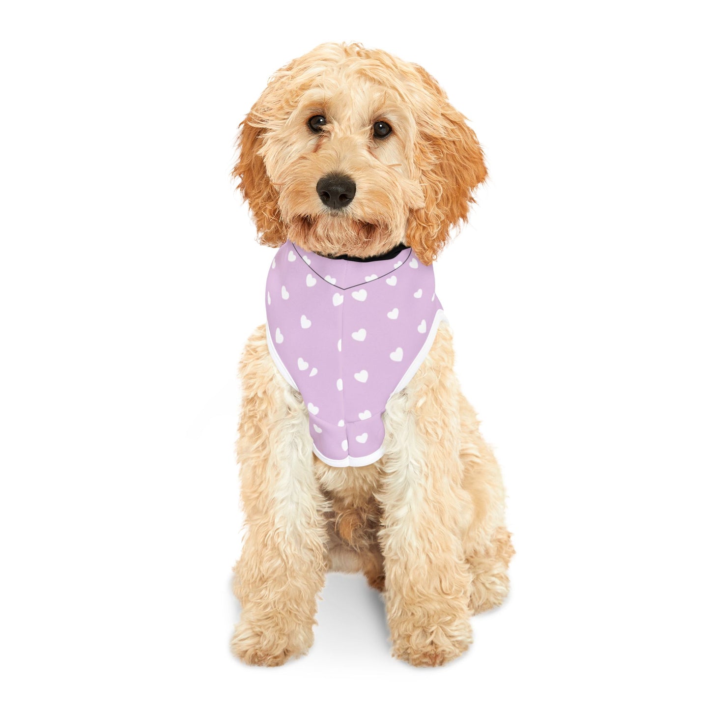 Dog Hoodie