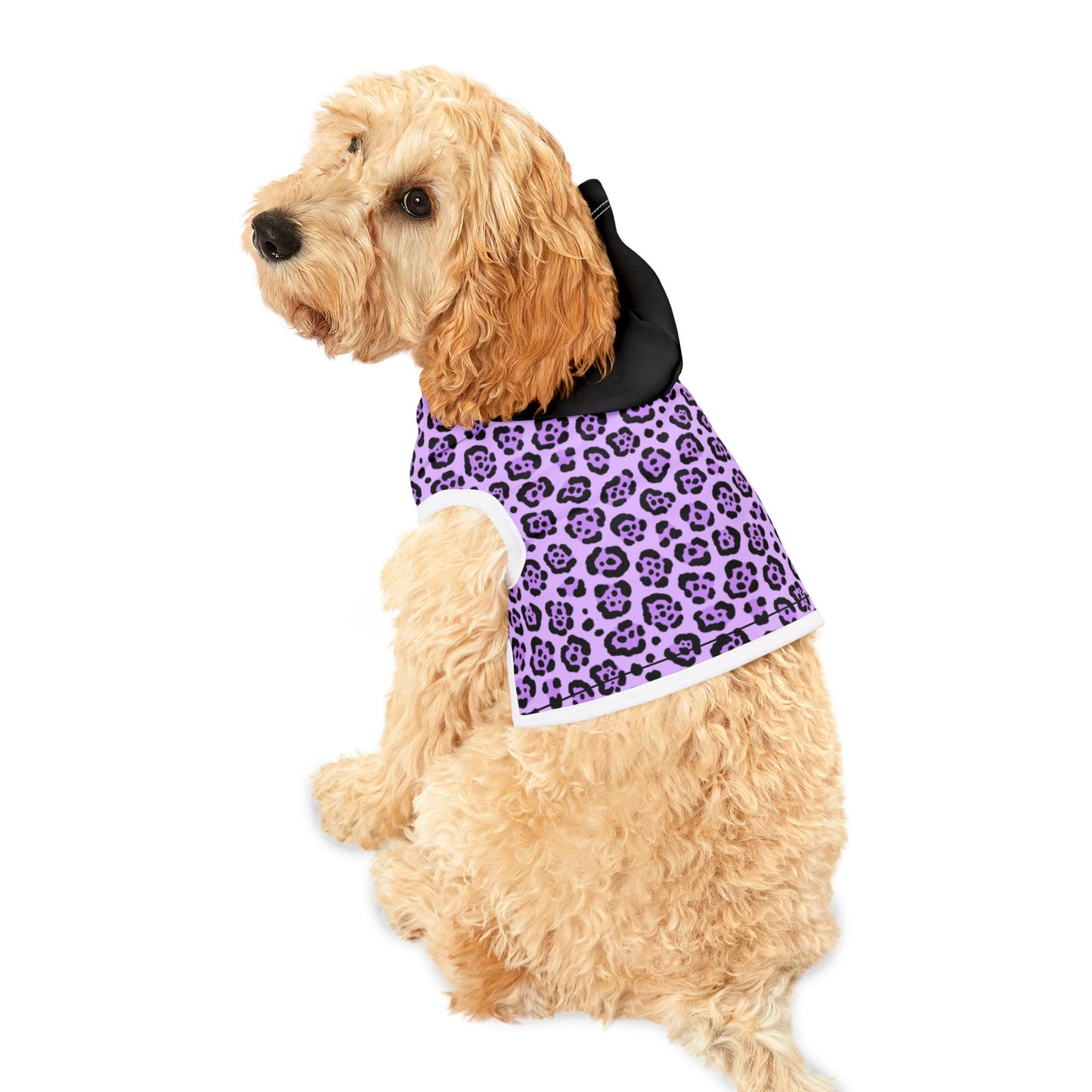 Pet Hoodie