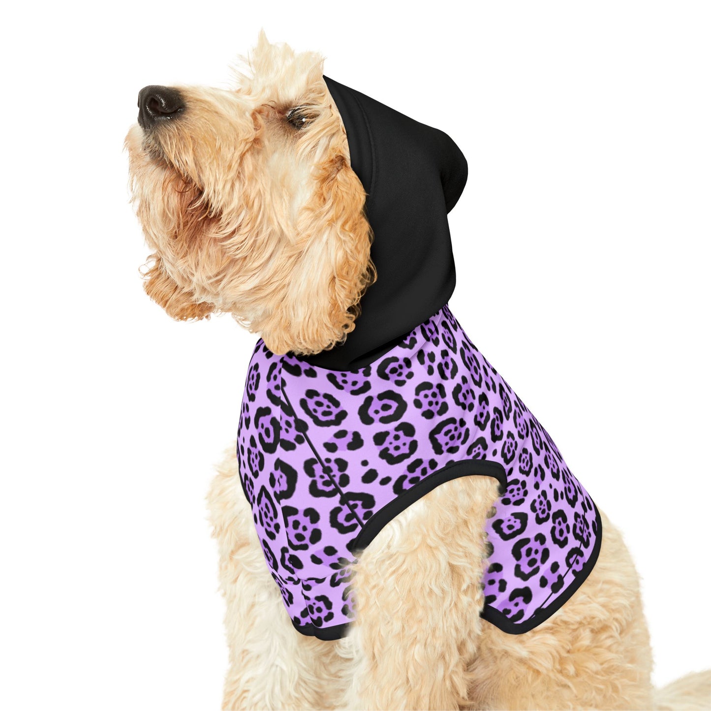 Pet Hoodie