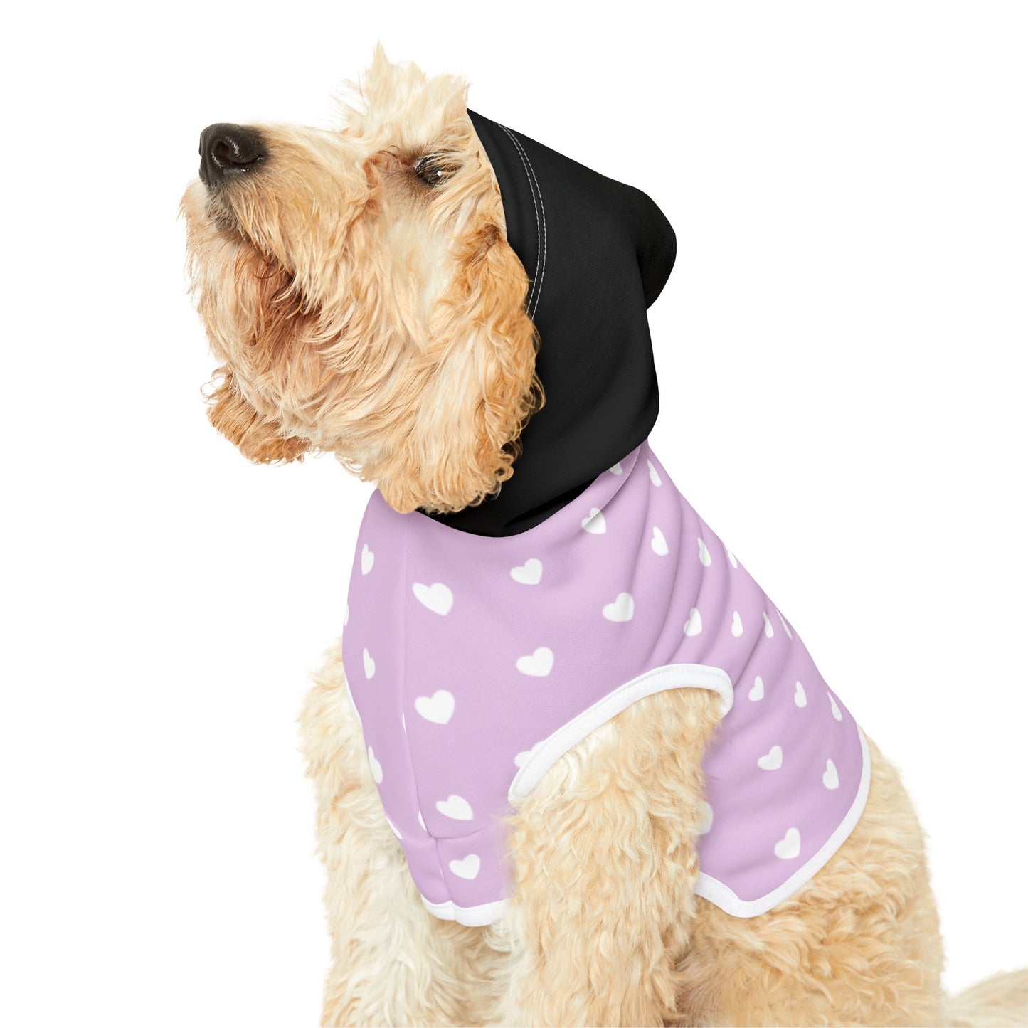 Pet Hoodie
