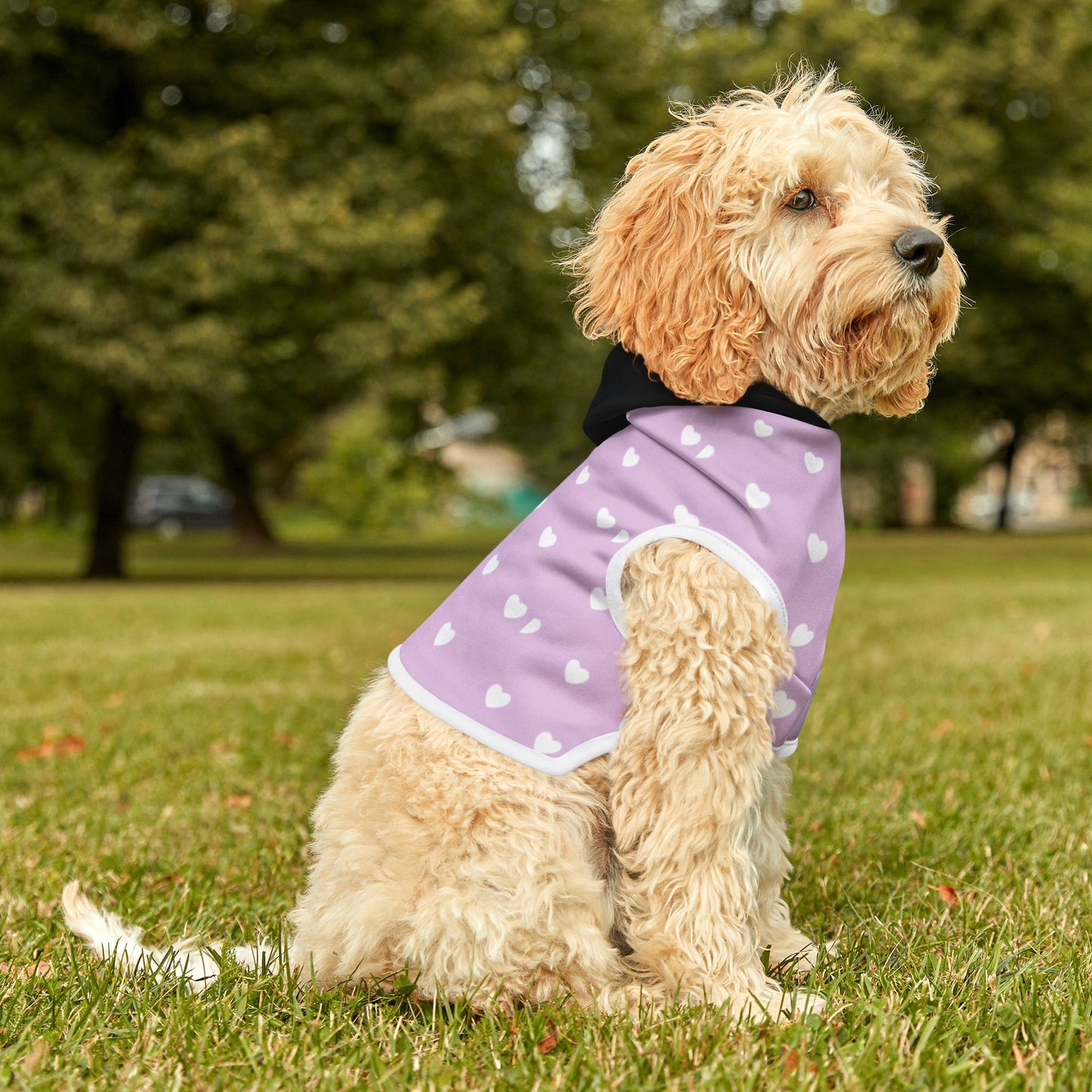 Pet Hoodie