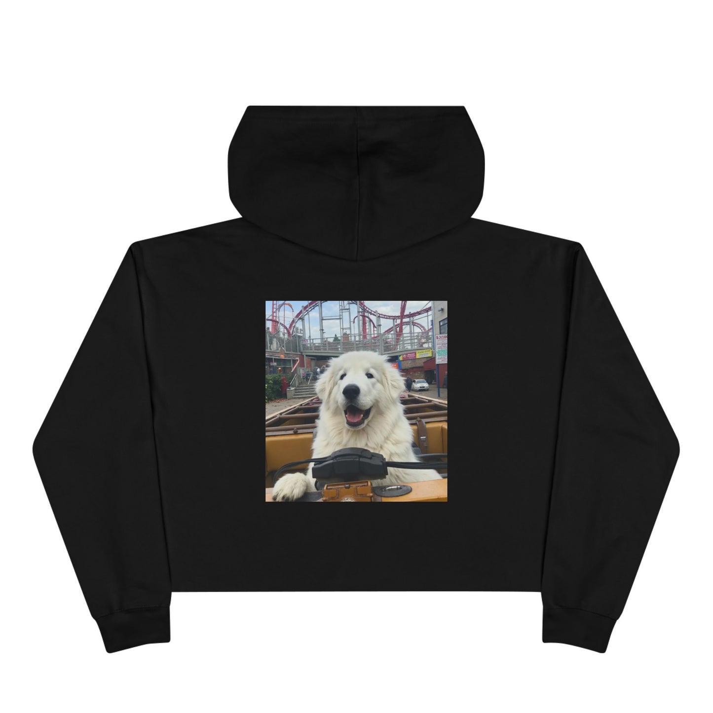 Crop Hoodie