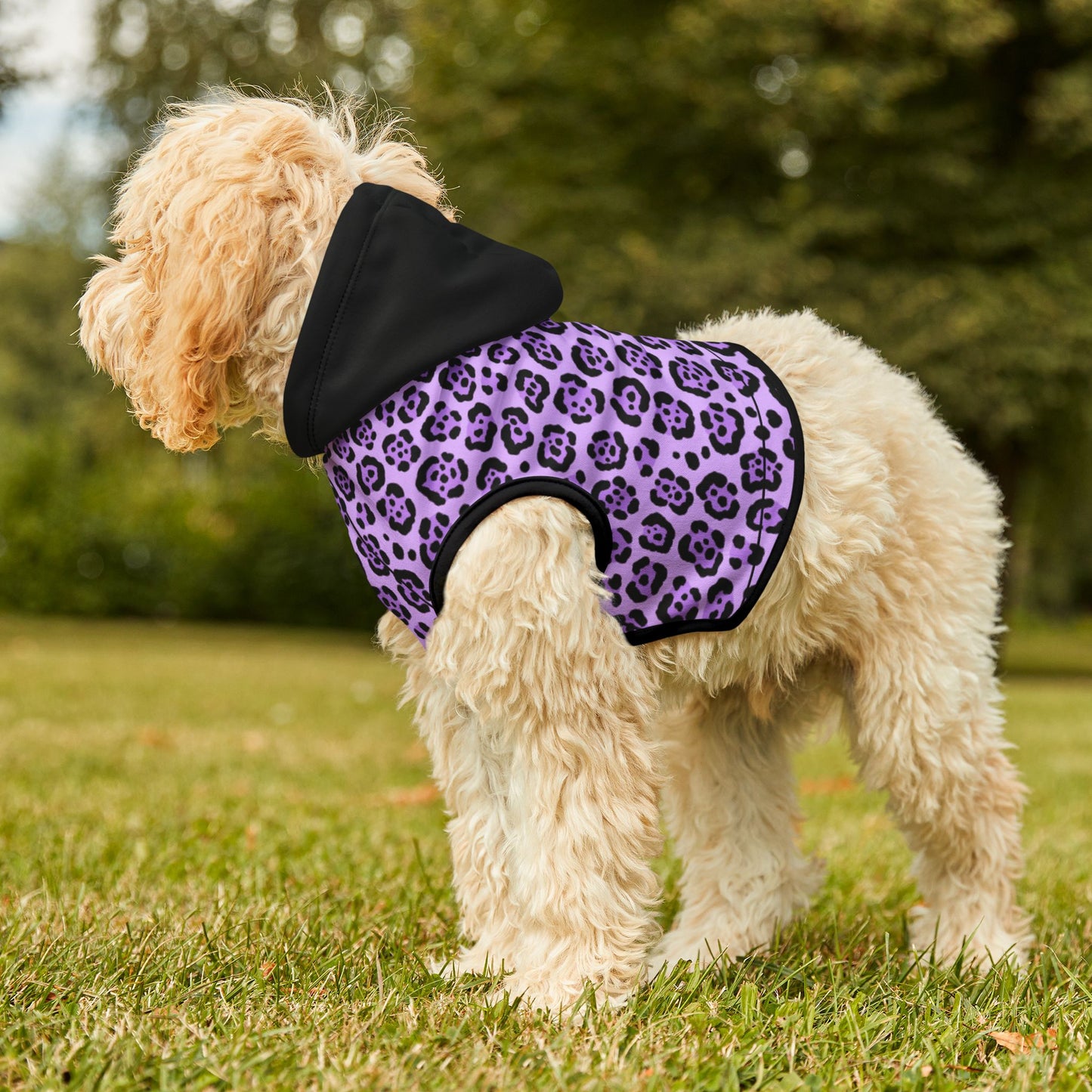 Pet Hoodie