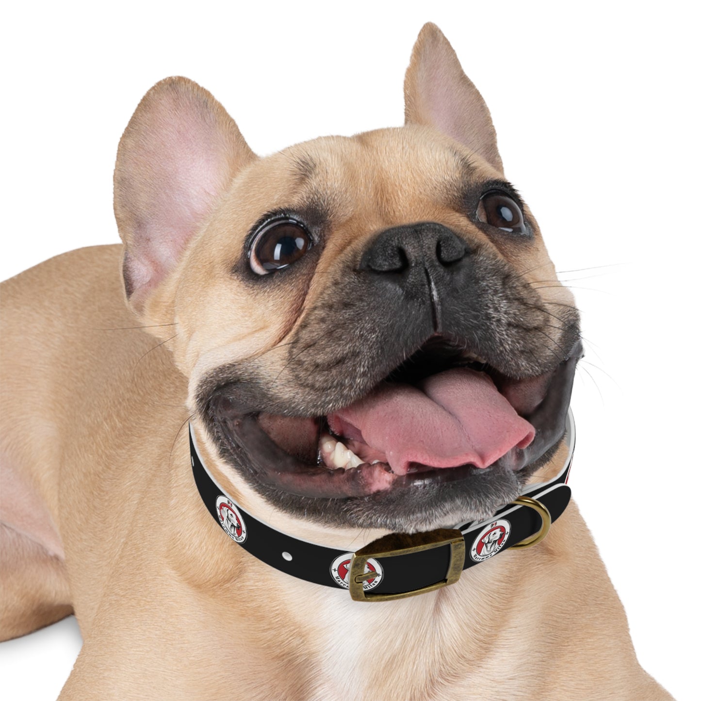 Dog Collar, Adjustable, Waterproff, Durable, Hypoallergenic Black Dog Collar with Maremma Logo,