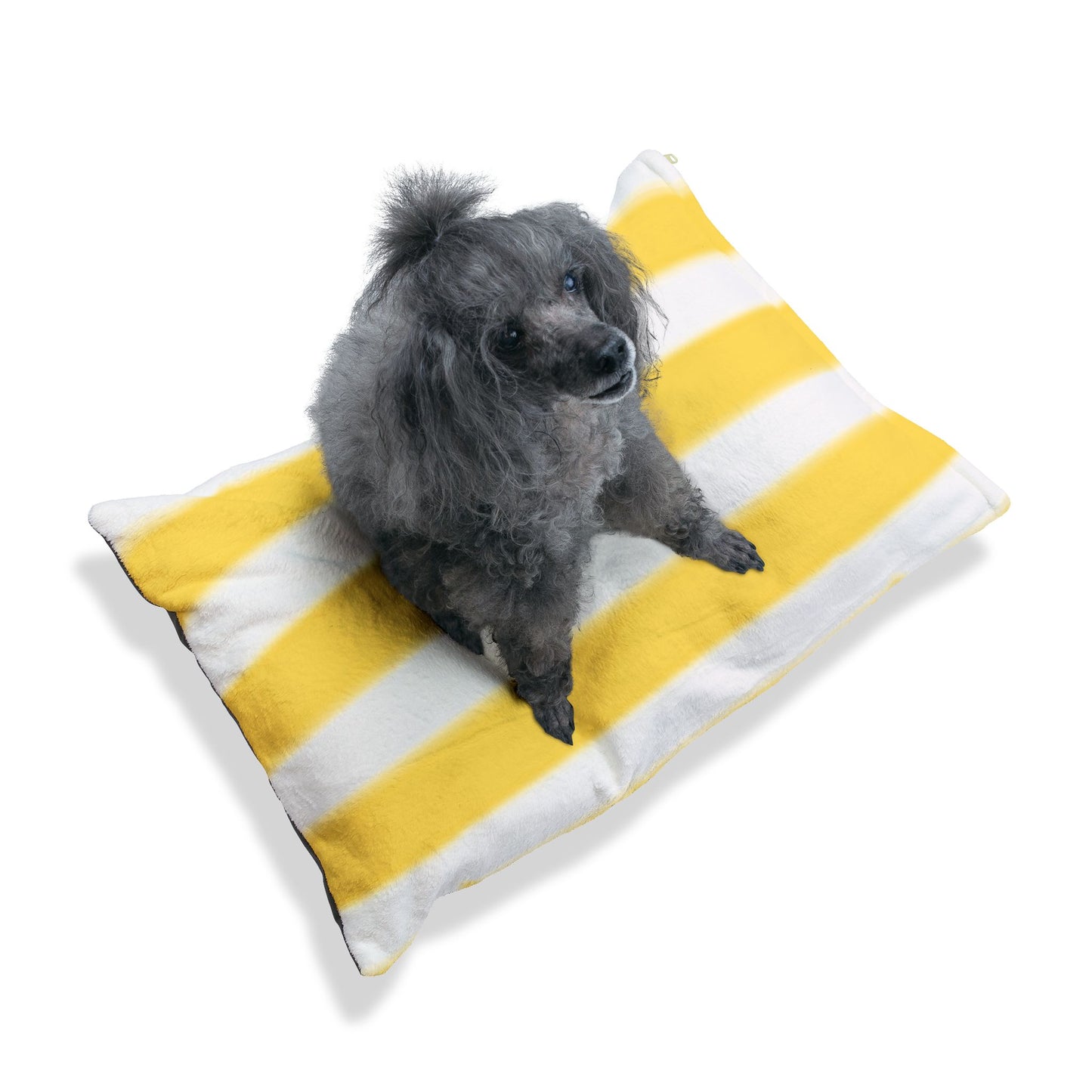 Dog Bed 100% Cotton Underside for Dogs of All Sizes