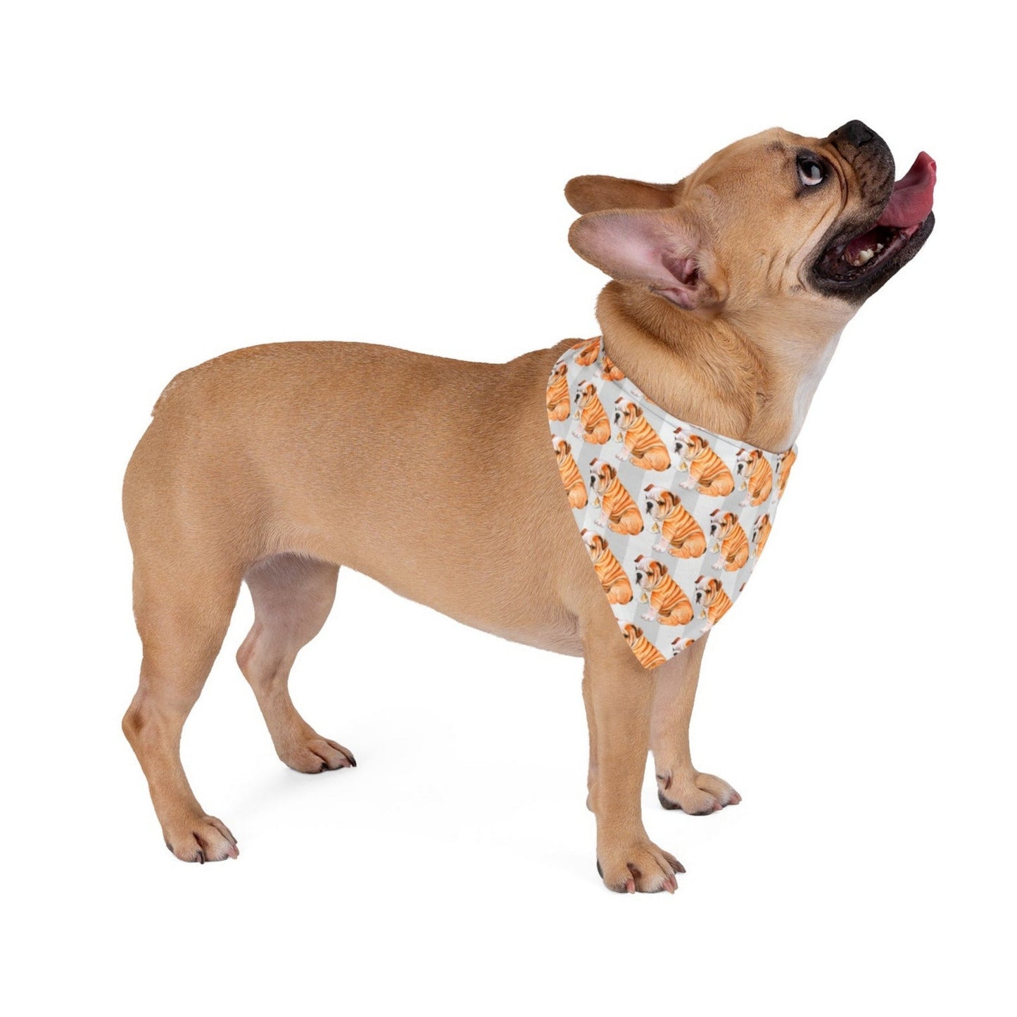 Playful "Bulldog" Bandana for Dogs, Stylish Pet Accessory, Cute Animal Print for Everyday Wear, Holiday Gift for Pet Lovers, [...]