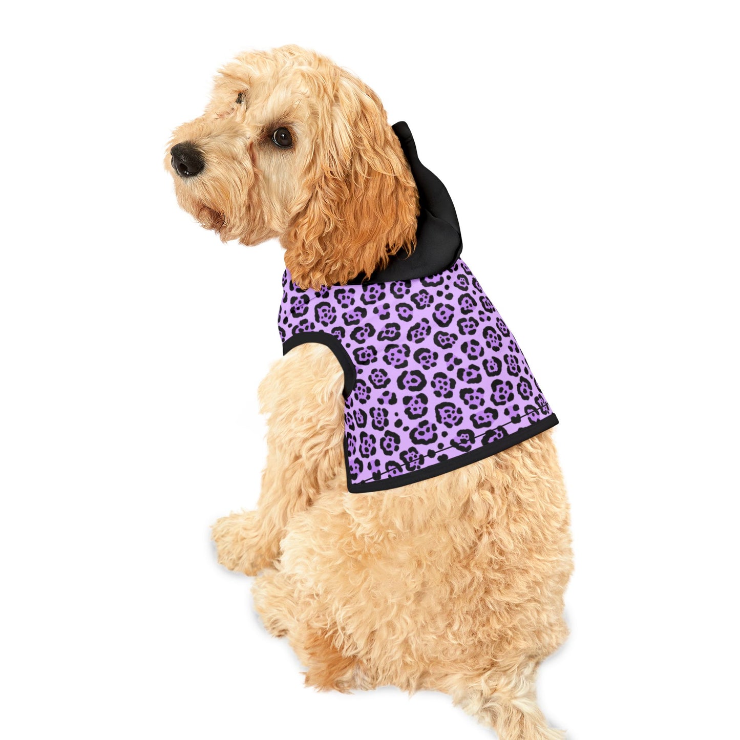 Dog Hoodie