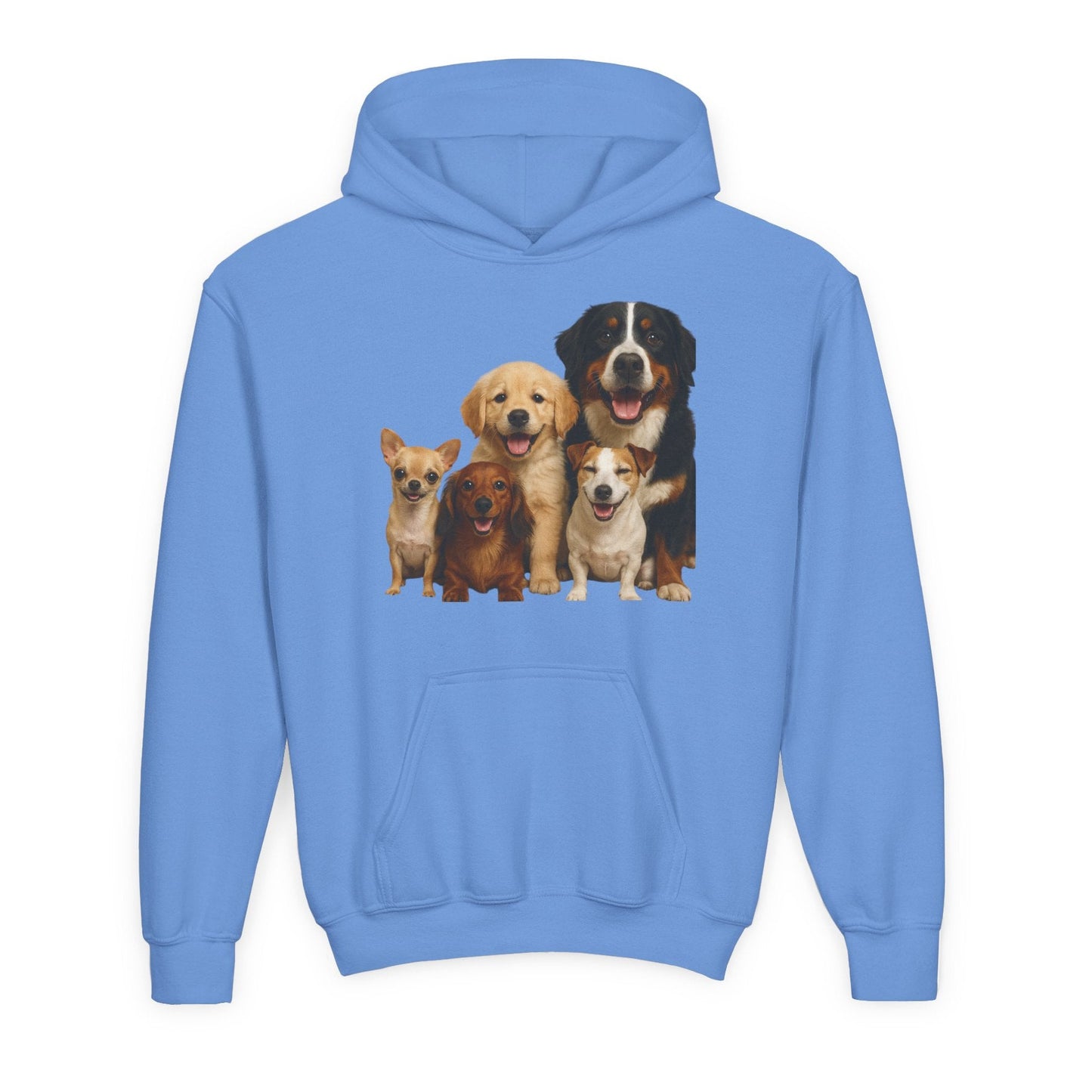 Youth Heavy Blend Hooded Sweatshirt