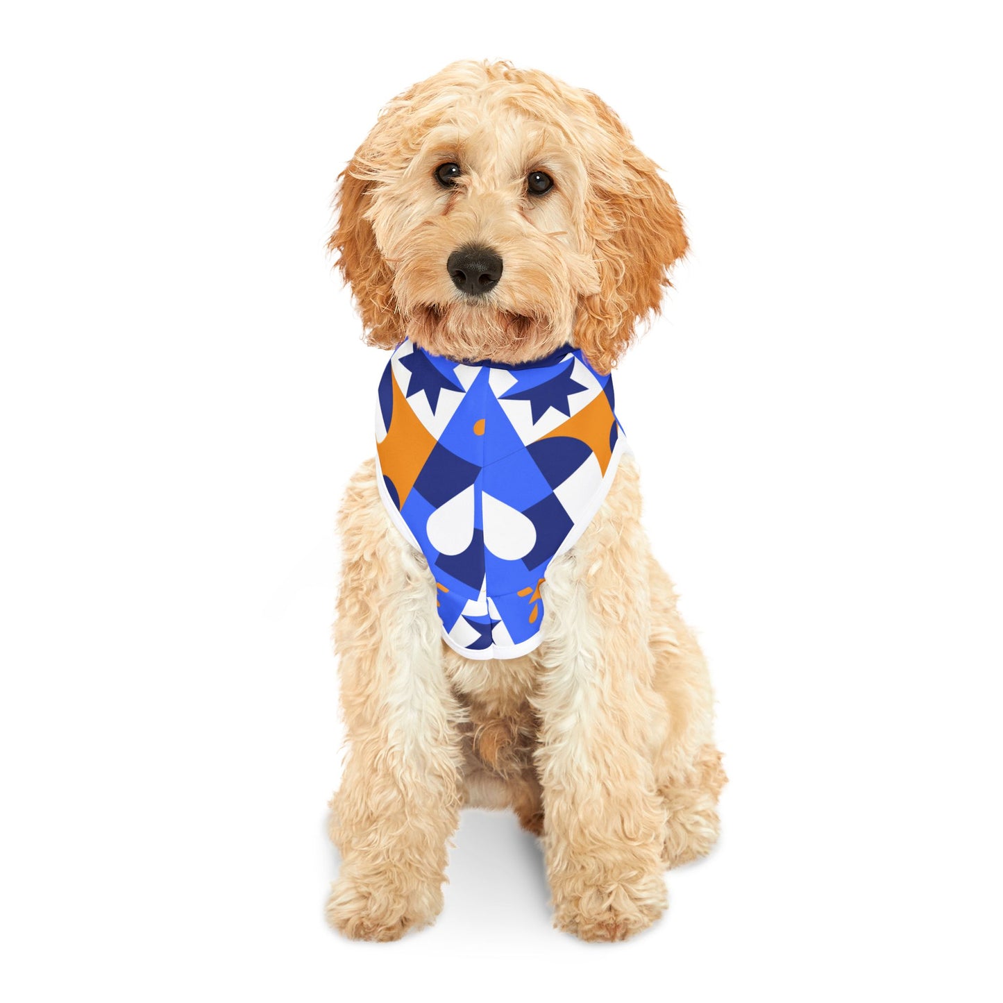 Dog Hoodie