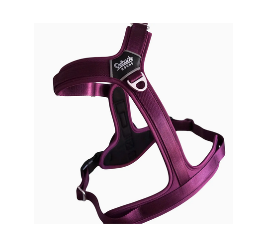 Ultra Lite Comfort Dog Harness Hypoallergenic in Plum With Multiple Attachment Points